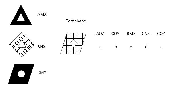 looking-at-a-shape-and-making-a-code-4