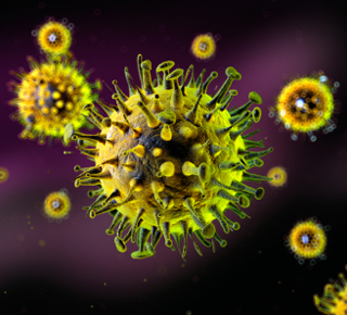 Diagram of a biological vaccine
