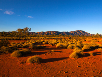 Case Study Australia 02