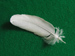 Illustration of Measures | A feather