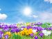 Solar Power