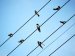 Electricity - The National Grid