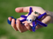 Child holding toy spider