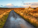 Old cottage on rough track