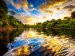Tropical Rainforests 01
