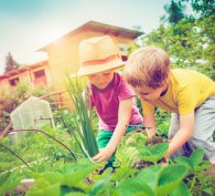 Health: Elementary School: Grades 3, 4 and 5